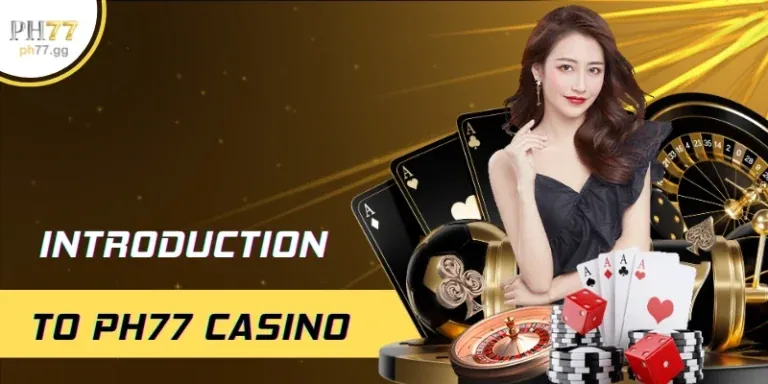 Tổng quan về baowin casino