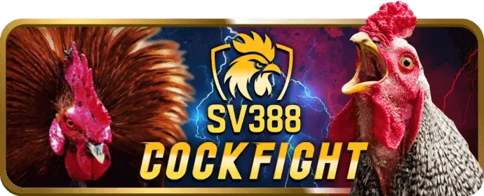 Slot Chủ Đề Đặc Biệt baowin casino